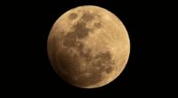 Essere Corpo – ovvero la prospettiva del Corpo, i Guru e la luna piena (di luglio)